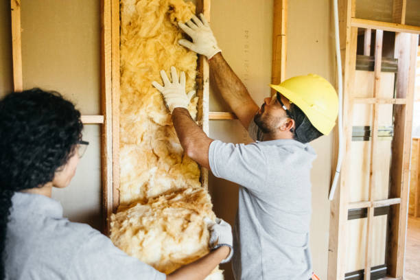 Insulation Air Sealing in El Paso De Robles, CA